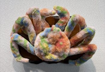花柄の蟹